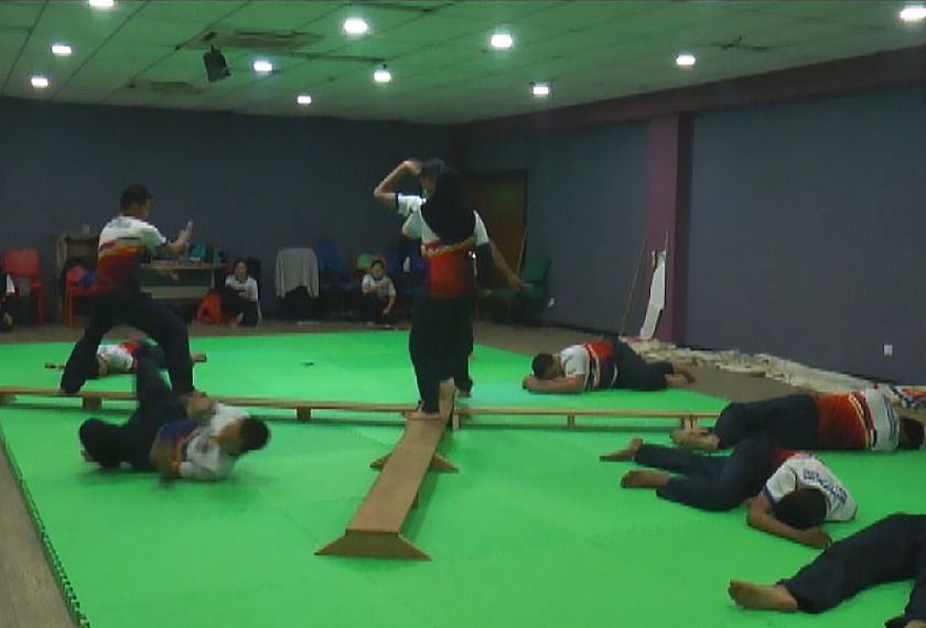 Antara kategori yang disertai atlet Malaysia termasuk Perseorangan Tangan Kosong (Lelaki), Berpasangan Tangan Kosong (Perempuan), Berseorangan Bersenjata (Lelaki), Berpasangan Bersenjata (Perempuan) dan kategori berkumpulan.