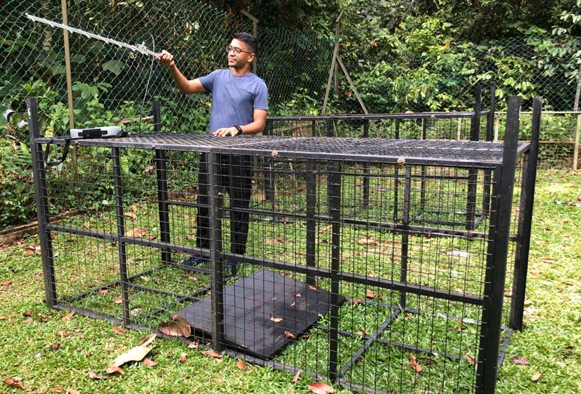 Chrishen memegang alatan yang digunakan untuk mengesan pergerakan harimau dahan.