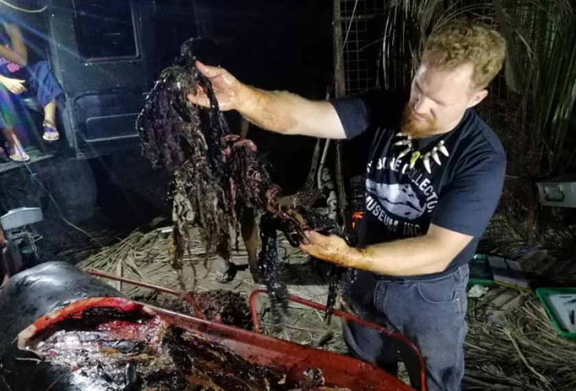 Autopsi yang dijalankan terhadap seekor ikan paus yang mati terdampar di perairan Filipina menemui 40kg sampah plastik di dalam perutnya. Foto AFP/Ceritalah