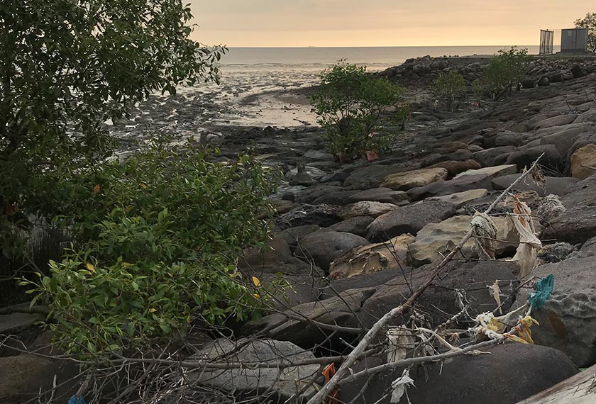 Sisa-sisa beg plastik ditemui di celah semak di Pontian, Johor. Foto Ceritalah