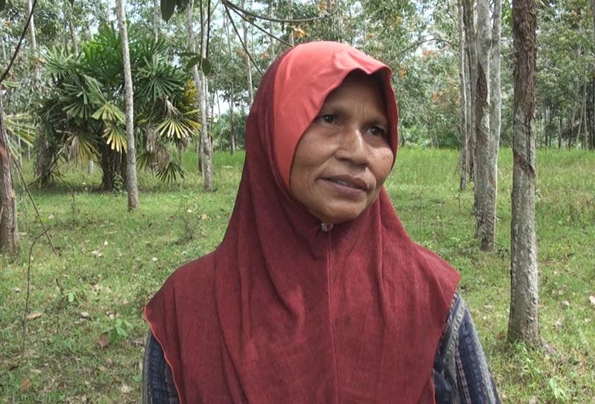 menjual biji pinang sebagai sumber alternatif menambah pendapatan..