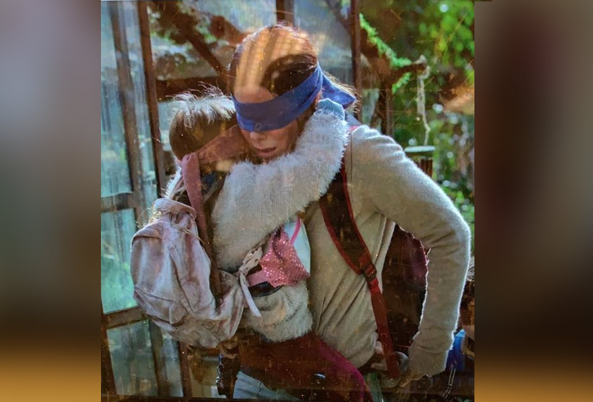 BirdBox