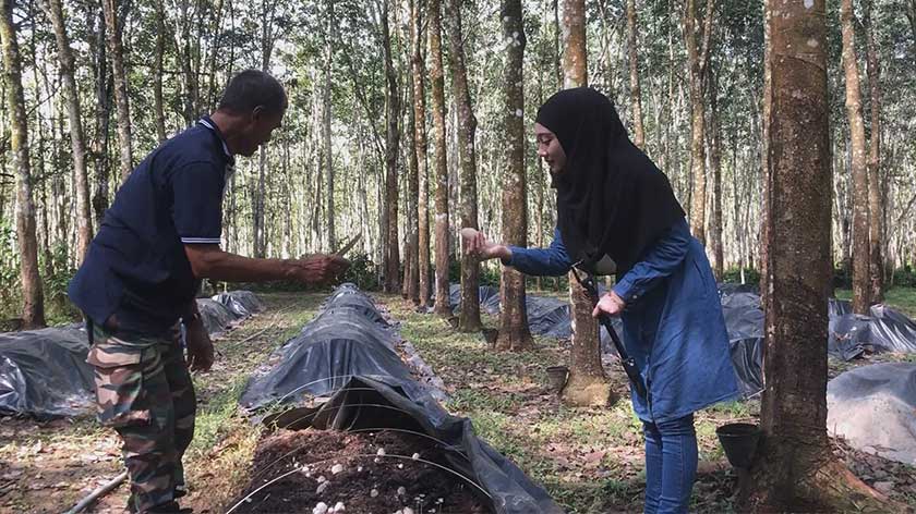 Ismail memberi penerangan tentang penanaman cendawannya kepada wartawan.
