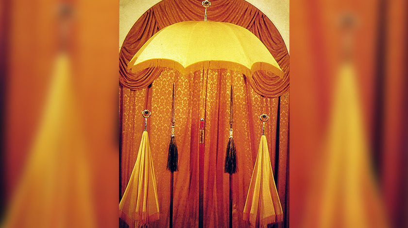 Payung Ubur-Ubur Kuning dan Tombak Berambu