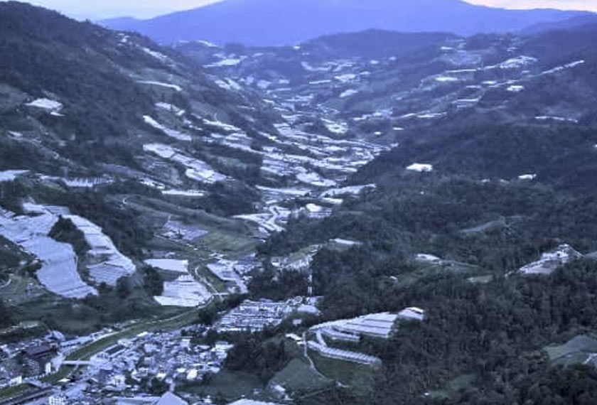 Intensive land use for agriculture is a feature of Cameron Highlands development.
