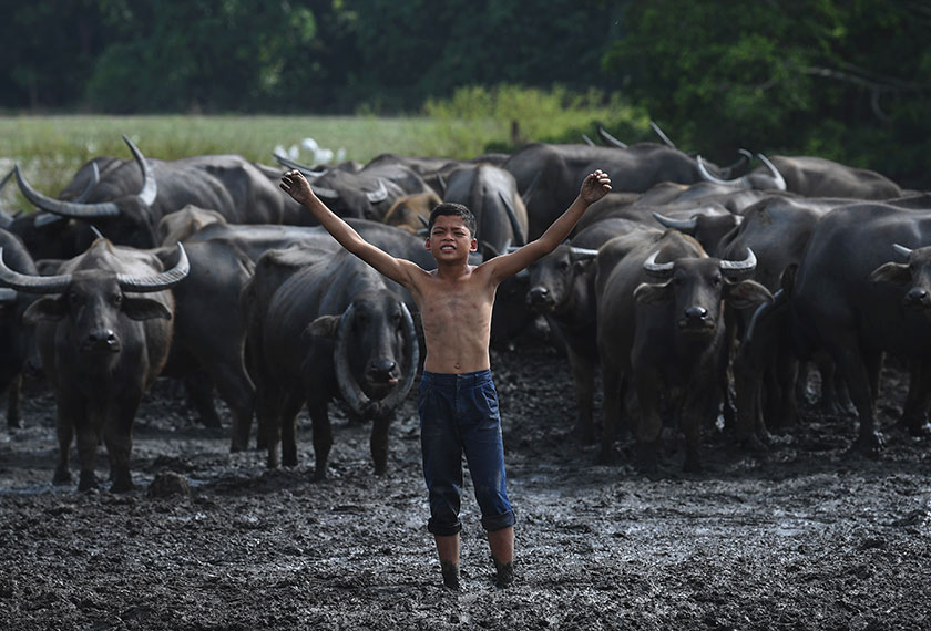 Ada yang menggelarkan Muhammad Syukor Kampung Boy, Budak Koboi malah Budak Kerbau. - Foto via Bernama