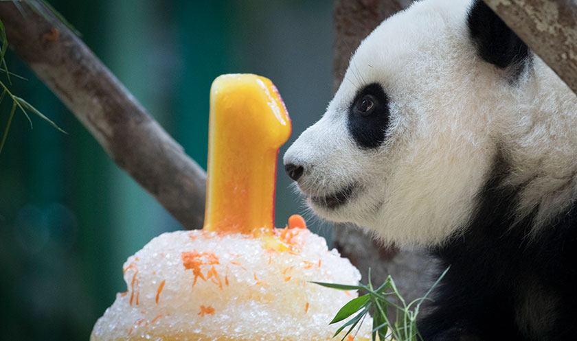 Adik bersama 'kek' hari jadinya. - Foto AP