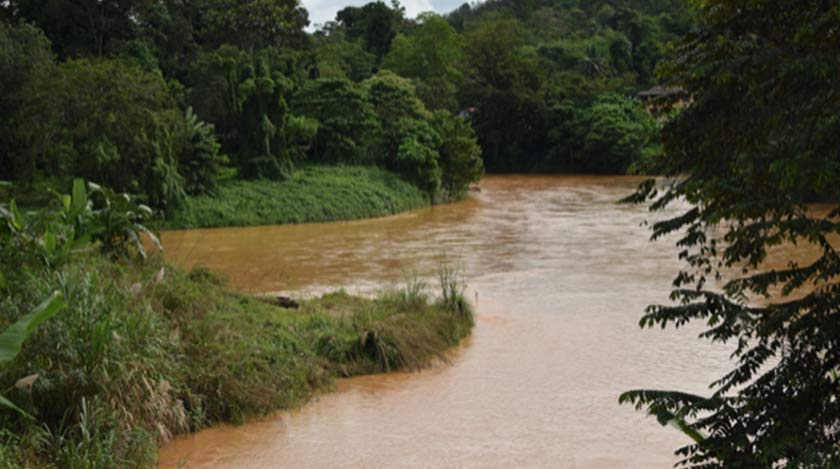 Sungai Nenggiri sudah keruh dan berkeladak seperti kopi susu. Ikan sudah tidak lagi dutemui dan airnya tidak boleh diminum. – Foto: Ceritalah
