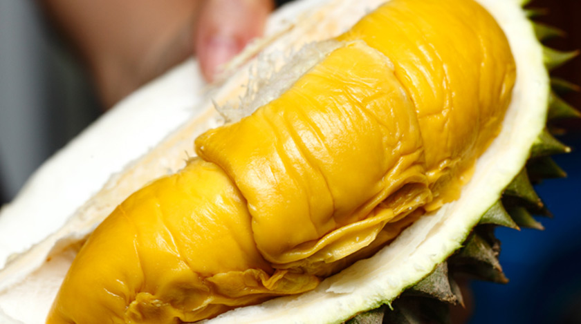 Musang King juga dikenali dengan nama ‘Mao Shan Wang’ atau 'kucing tidur' kerana bentuk ulasnya selepas baru dikopek. – Foto: vkeong.com