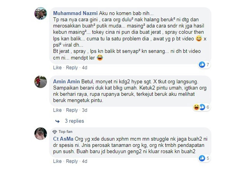 Komen beberapa individu yang menerangkan tindakan pemilik kebun itu bertindak sedemikian