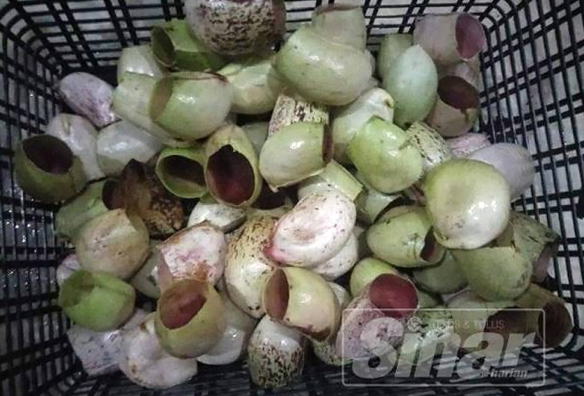 Kelongsong yang telah dibasuh dengan bersih.