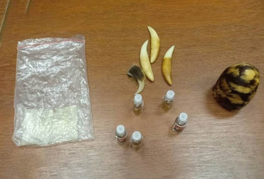 Selain peralatan pemburuan haiwan dan alat penebangan pokok, turut dirampas adalah item yang disyaki sebahagian daripada hidupan liar. - Foto PDRM