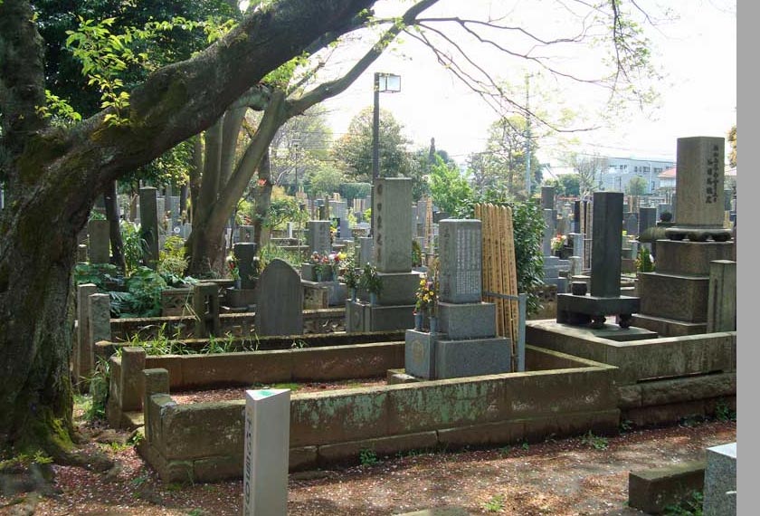 Yanaka Cemetery tempat 'lepak' kucing-kucing jalanan di pekan ini.