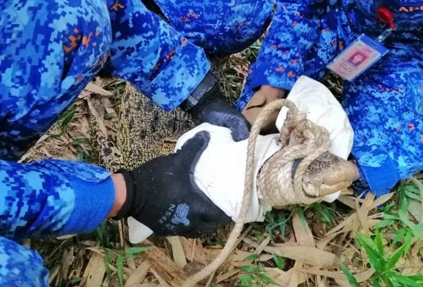 Sangkaan Ansam bagaimanapun meleset dan dia terkejut apabila melihat objek ditarik rupa-rupanya seekor buaya yang besar. - Foto JBPM