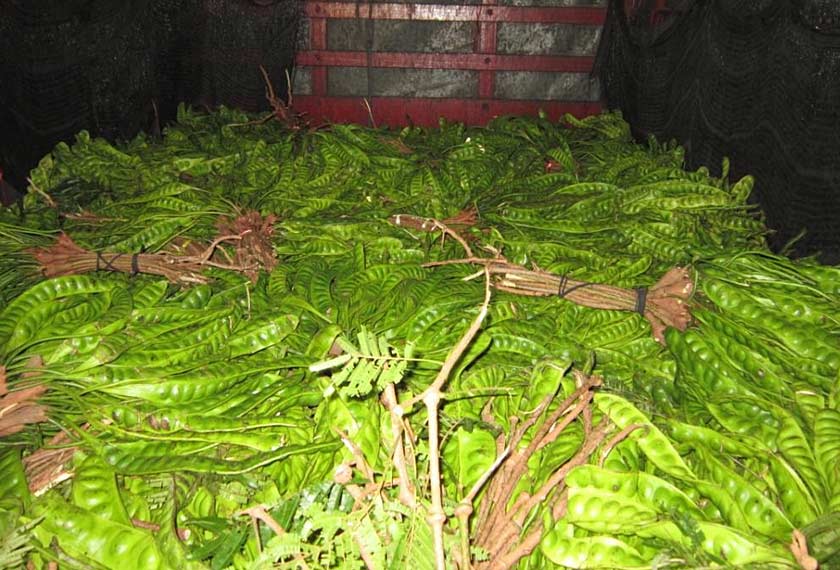 Tindakan penguatkuasaan undang-undang akan terus diperkasa bagi memastikan jaminan keselamatan makanan negara terpelihara. - Foto Astro AWANI