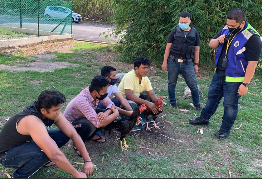 Lelaki warga Myanmar yang ditahan ketika leka menonton pertarungan ayam sabung di Alor Setar.