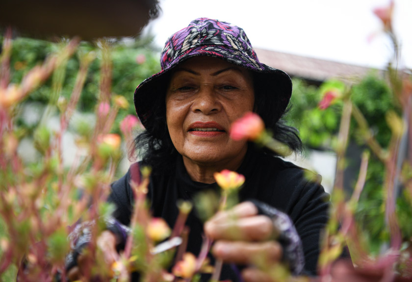 Suminah Karso keeps herself occupied during the MCO by gardening around the compound of her house in Kuala Lumpur. --fotoBERNAMA