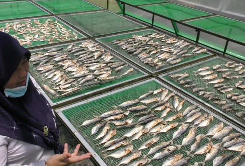 Teknologi Solar Dome Dryer bukan sahaja mampu mempercepat proses pengeringan malah penghasilannya lebih bersih.