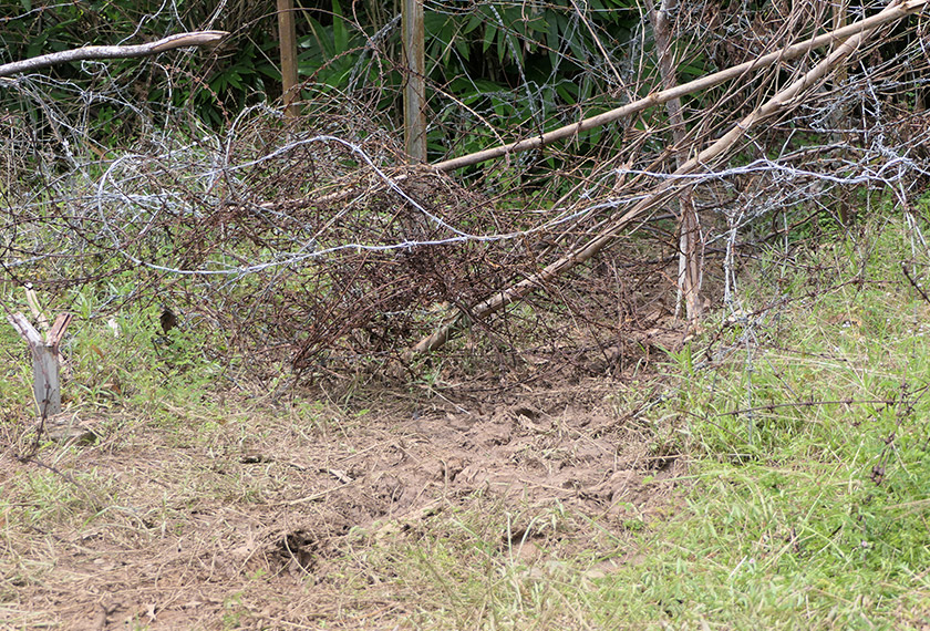 Laluan tikus yang dibuka semula penyeludup meskipun telah ditutup anggota keselamatan. -Astro AWANI/Fareez Azman