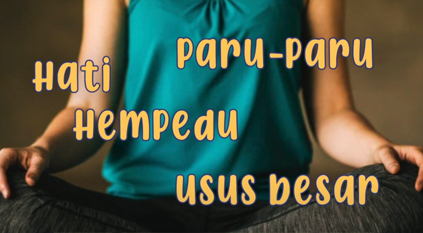 Individu normal dewasa memerlukan kira-kira 6 hingga 8 jam waktu tidur dan kanak-kanak memerlukan tidur yang lebih lama untuk proses tumbesaran.