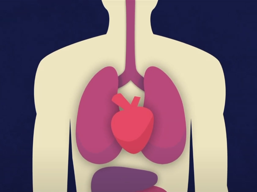 Antara hormon yang aktif semasa anda tidur adalah hormon pertumbuhan atau Human Growth Hormon (HGH).