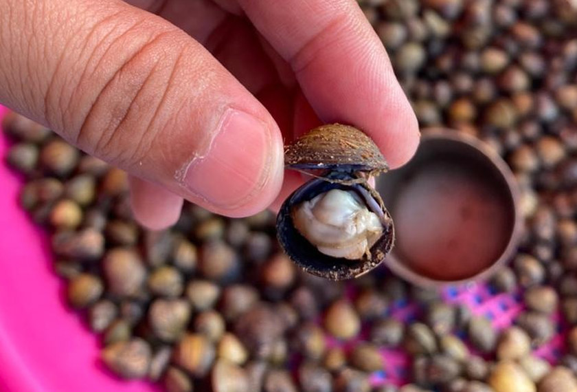 Perisa Etok kini dipelbagaikan seperti tom yam dan masam manis bagi menarik lebih ramai peminat menggemarinya. Gambar Astro AWANI