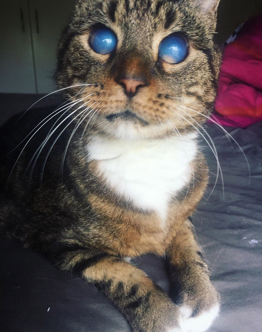 Meskipun punca penyakitnya tidak diketahui namun Soren tidak mengambil masa lama untuk ‘menghafal’ selok-belok rumah barunya bersama Roslyn, sebuah apartmen di Melbourne.