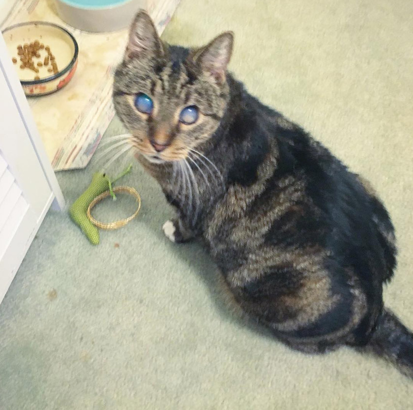 Meskipun punca penyakitnya tidak diketahui namun Soren tidak mengambil masa lama untuk ‘menghafal’ selok-belok rumah barunya bersama Roslyn, sebuah apartmen di Melbourne.