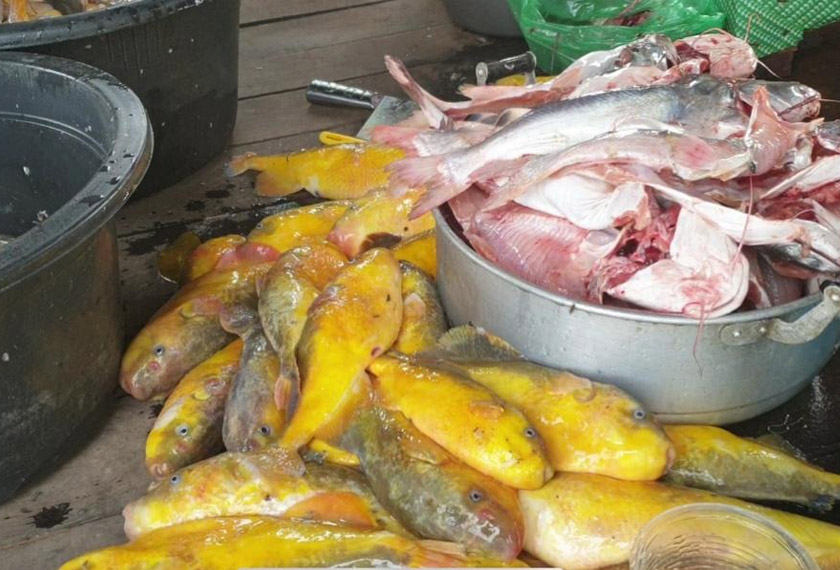 Ikan-ikan segar yang telah siap disiang dan dibersihkan. -Gambar Astro AWANI