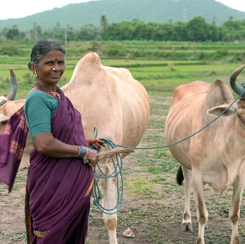 Sebelum menjadi bintang YouTube, hidupnya bukanlah mudah. Tidak mendapat pendidikan sebaiknya, dia melakukan kerja-kerja ladang dan menggulung rokok untuk menampung kehidupan.