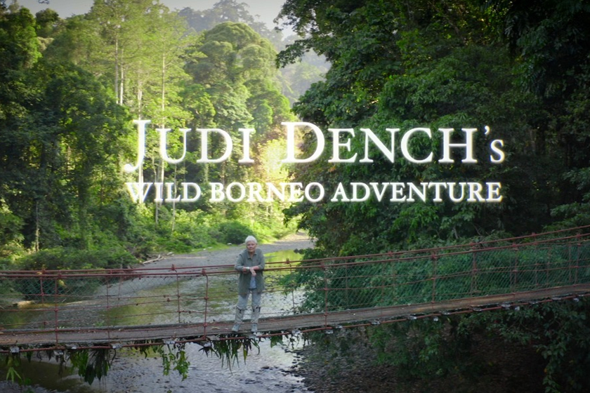 Judi Dench Wild Borneo Adventure