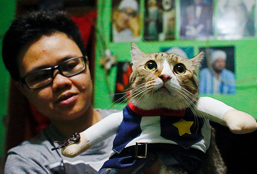 Kucing segak ini seakan-akan adiwira berpakaian busana buatan Fredi ini. - Gambar: Reuters