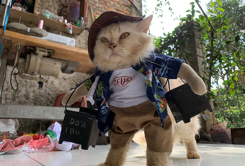Antara busana yang dihasilkan Fredi buat pemilik kucing yang cerewet. - Gambar: Reuters