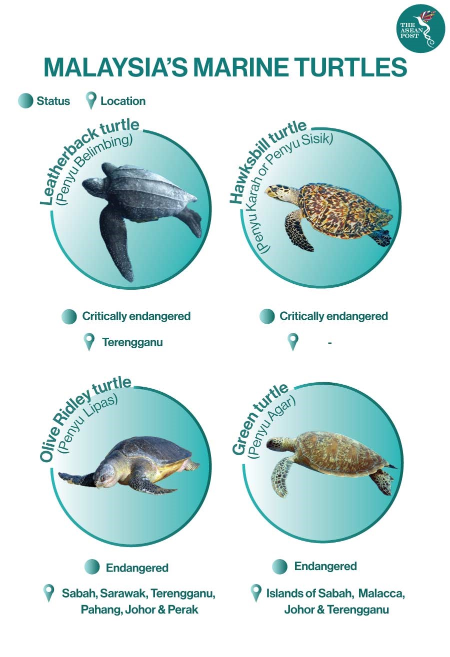 Source: WWF Malaysia /The ASEAN Post