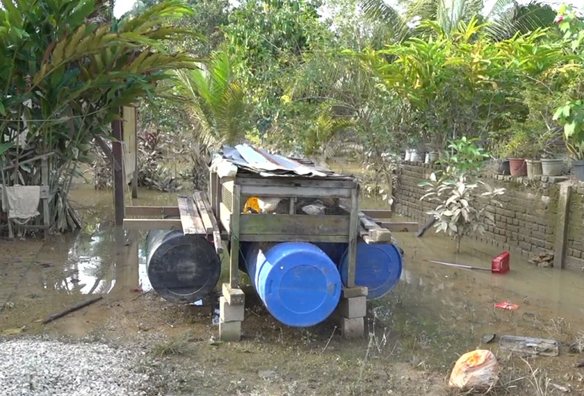Antara kaedah yang digunakan untuk memastikan ternakan tidak dihanjutkan banjir. - Astro AWANI.