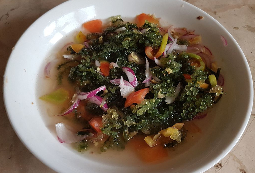 Lattut dimakan sebagai ulam dengan mencicah dalam air asam