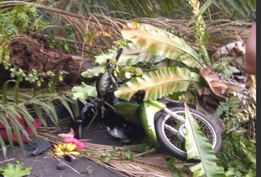 Mangsa disahkan meninggal ditempatkan kejadian oleh pihak Kementerian Kesihatan Malaysia (KKM). - Foto JBPM