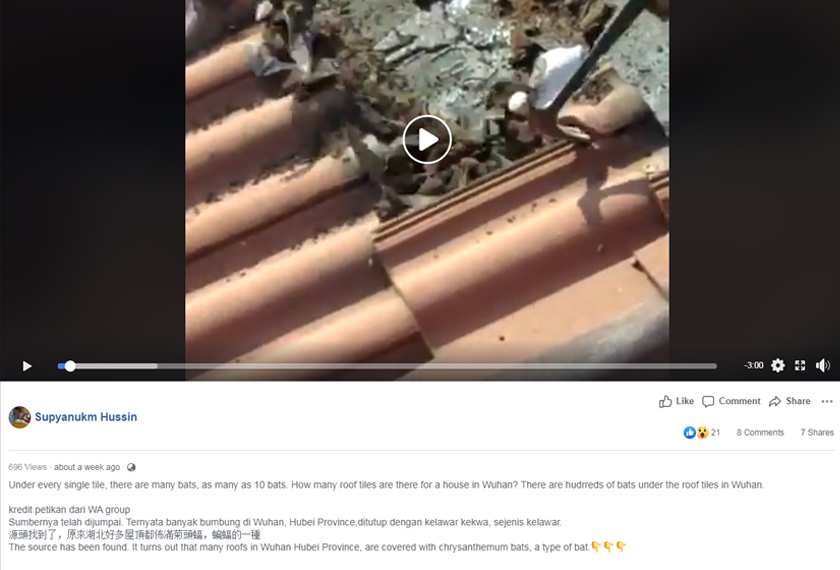 haiwan itu dilihat berterbangan sebaik sahaja jubin-jubin bumbung dialihkan oleh seorang lelaki diprcayai pekerja pembinaan.