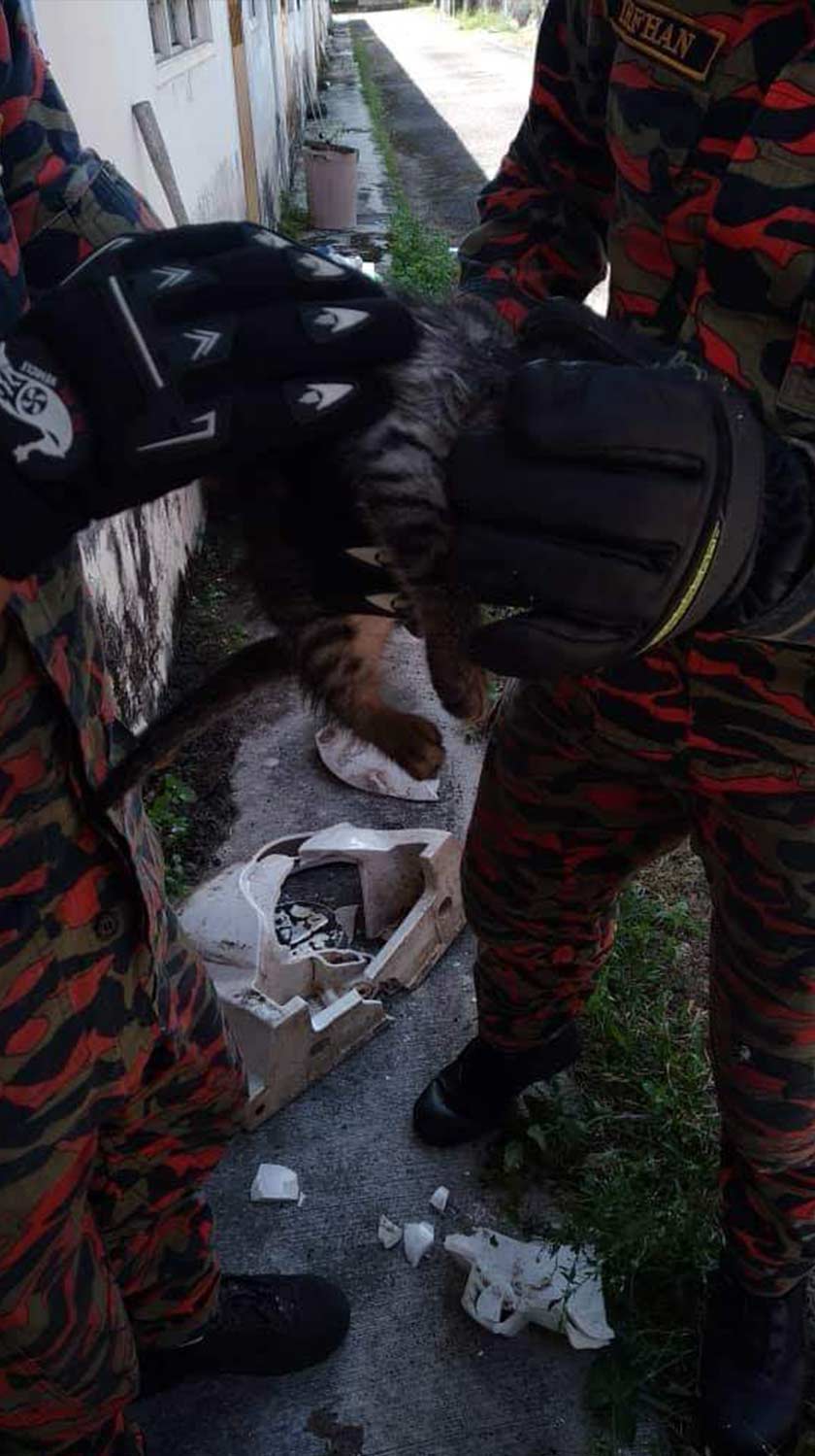 Kucing itu telah berjaya diselamatkan dan tidak mengalami luka atau kecederaan. - Foto JBPM Johor