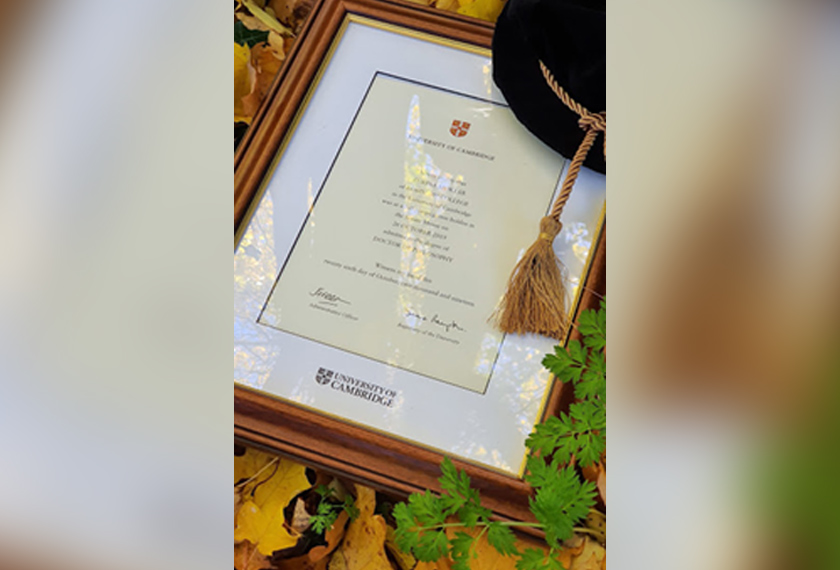 4.5 year's worth of work.