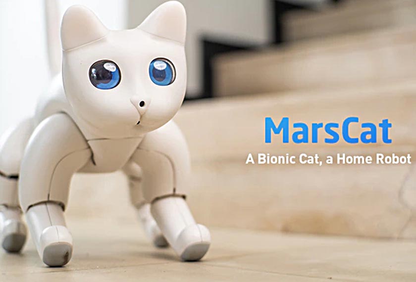 MarsCat merupakan robot kucing comel yang bakal menjadi tarikan baharu di CES2020