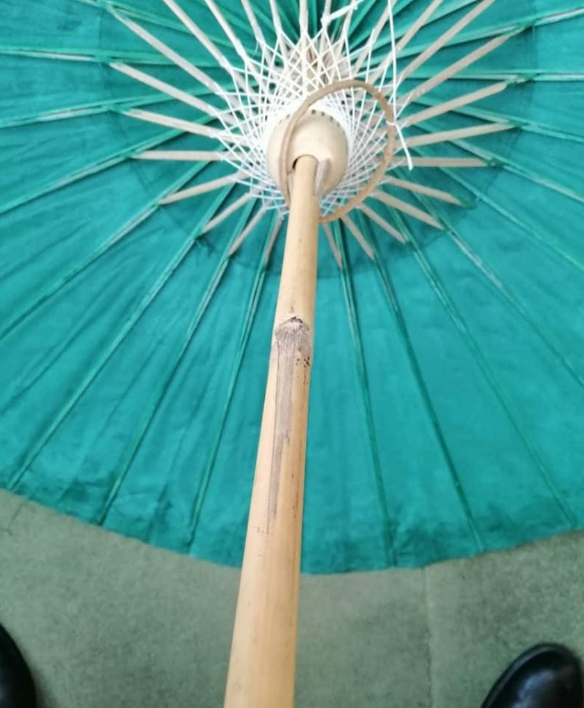 Kesemua&nbsp;payung buluh&nbsp;yang disita itu akan disiasat&nbsp;mengikut&nbsp;Akta Perkhidmatan Kuarantin Dan Pemeriksaan Malaysia 2011 atas kesalahan tidak mempunyai dokumen permit import. - Foto MAQIS