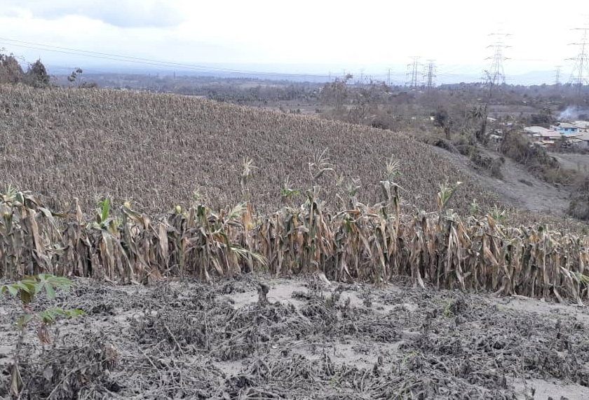 Keadaan penduduk yang terpaksa berpindah akibat letusan gunung berapi Taal di Filipina adalah lebih buruk daripada apa yang digambarkan oleh media antarabangsa.