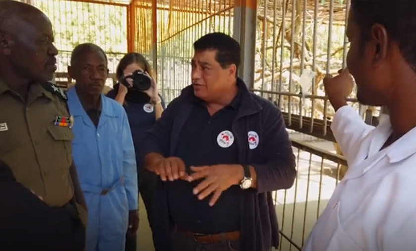 Sepasukan petugas Pertubuhan Kebajikan Haiwan Global, Four Paws tiba di Khartoum, Sudan bagi menilai keperluan Taman Al Qurashi Family dan menyiasat keadaan haiwan termasuk singa yang dilaporkan terlalu kurus di zoo berkenaan. Foto: AP Newsroom