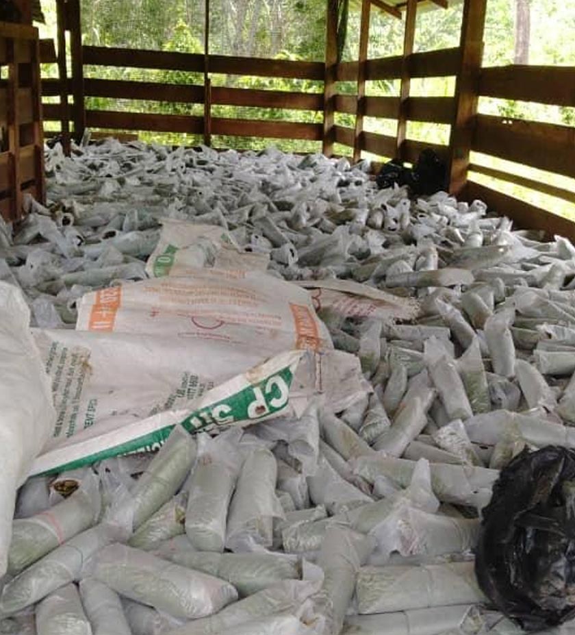 Pasukan risikan dan anggota pasukan itu mengesan kandang kambing yang kelihatan mencurigakan.