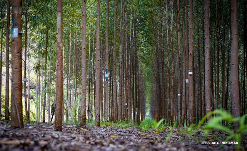 Foto: Facebook Dato' Nik Amar 