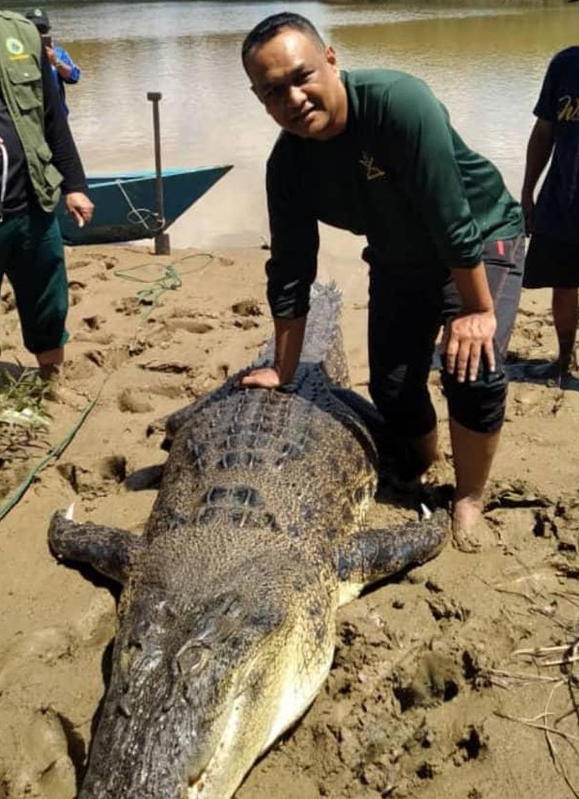 JHL tidak menolak kemungkinan reptilia berkenaan juga telah menyerang seorang wanita, Nur Hayati Talib, 50 dalam kejadian pada pada 25 Jun lalu - Foto ihsan JHL