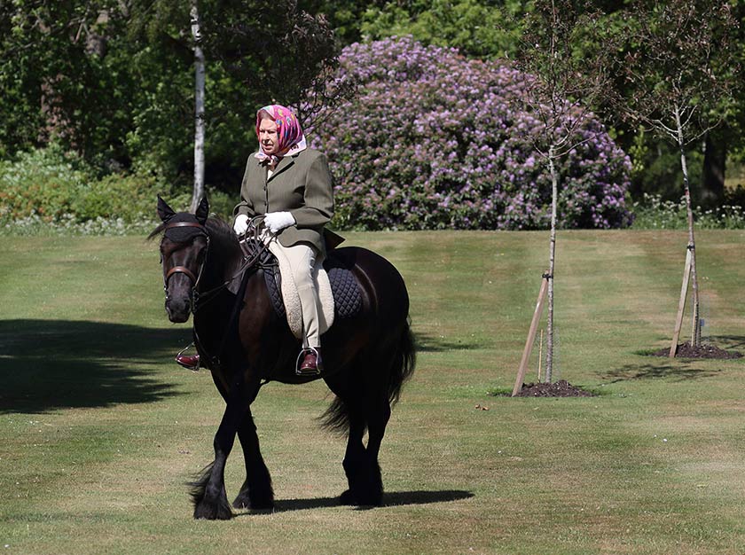Queen Elizabeth II, rides, Pony, Windsor