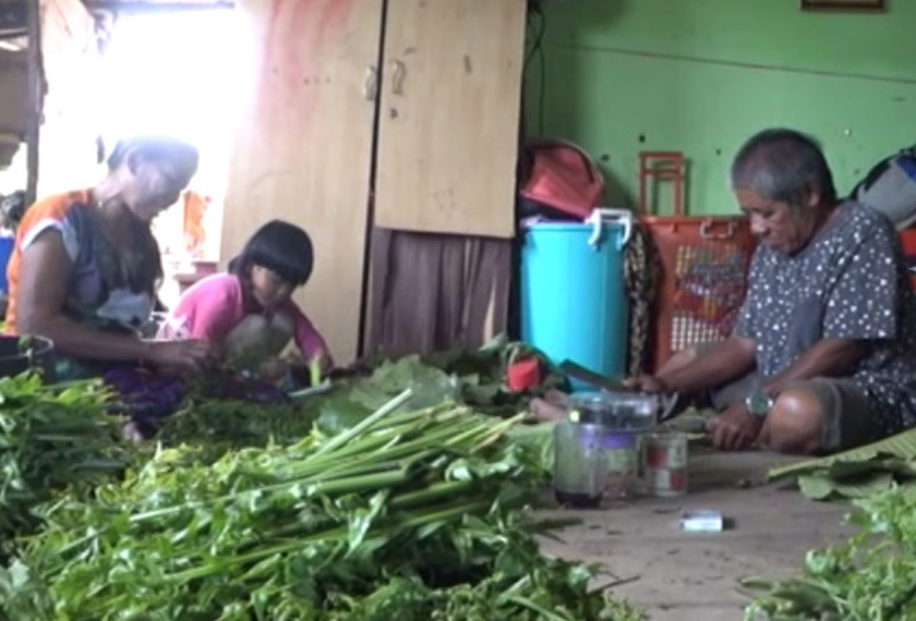 Tiada pilihan lain, namun kecekalan mereka untuk turun ke hutan demi sesuap nasi membuka mata ramai pihak. -Gambar Astro AWANI
