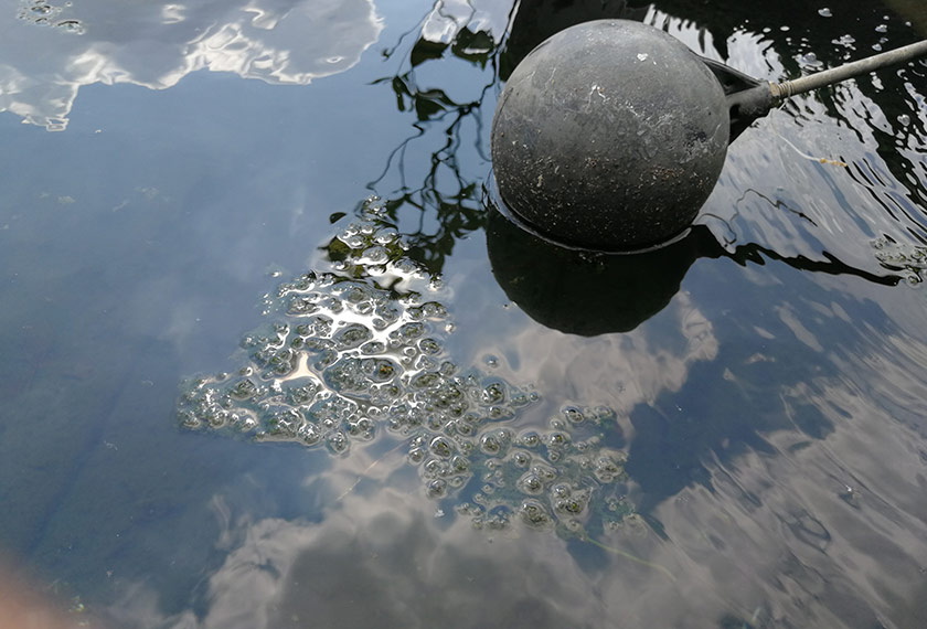 Antara kekotoran yang perlu dibersihkan oleh Zahrul semasa mencuci tangki.